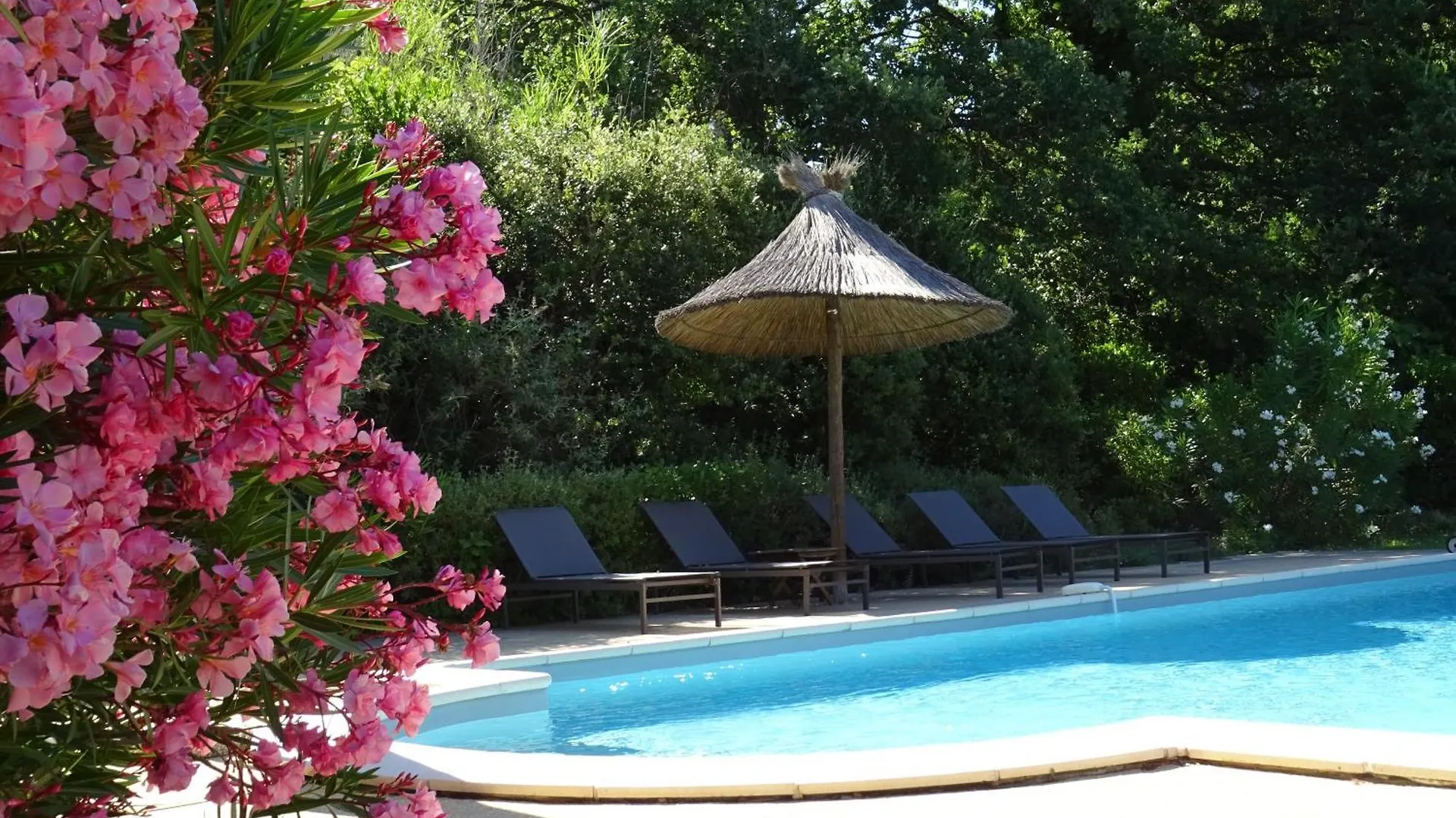 Auberge De Saint-Remy - Restaurant Gastronomique Etoile Fj Inn Saint-Remy-de-Provence